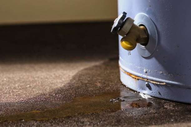 Best Flooded house restoration  in Sharon, PA