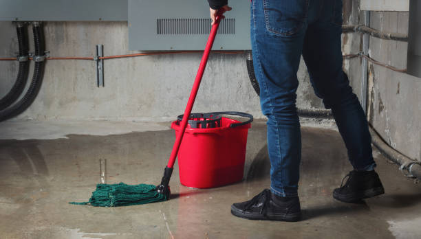 Best Water damage cleanup near me  in Sharon, PA