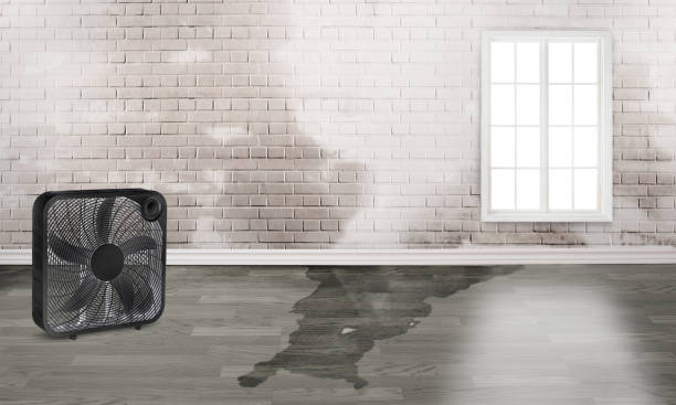 Best Professional water damage repair  in Sharon, PA
