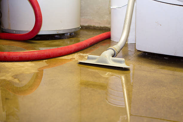 Best Water damage repair service  in Sharon, PA