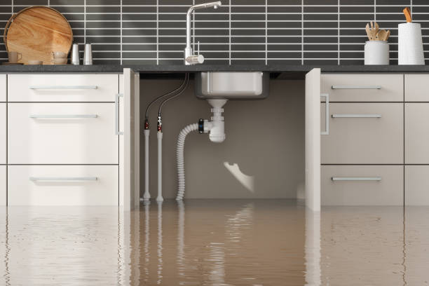 Best Carpet water damage restoration  in Sharon, PA