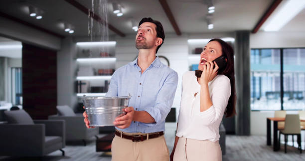 Best 24/7 water damage repair  in Sharon, PA